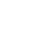 Portfolio - icon